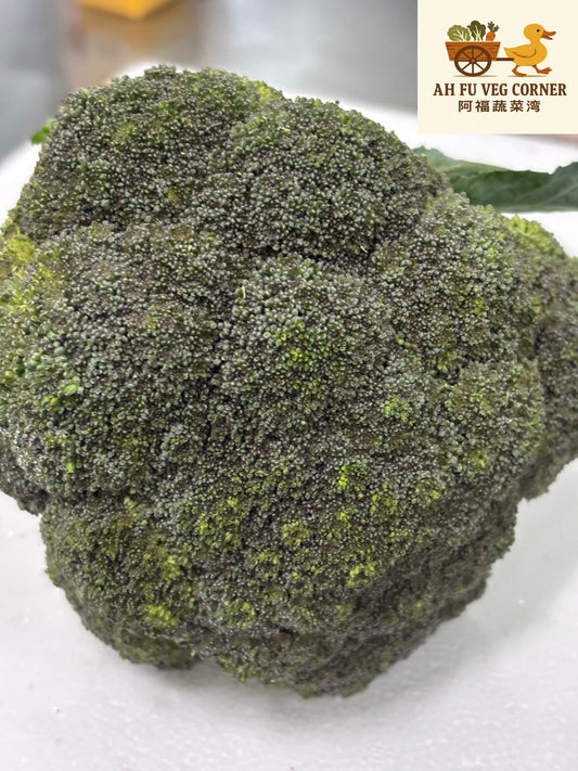 Australia Purple Broccoli