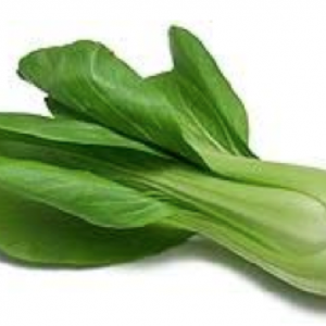 Bok Choy Baby Xiao Bai (小白菜)