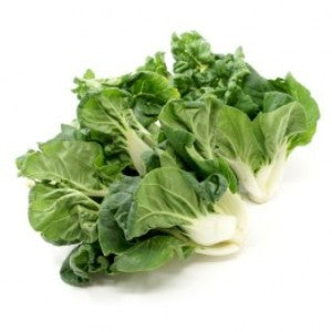 Bok Choy Dwarf / Nai Bai (奶油白菜)
