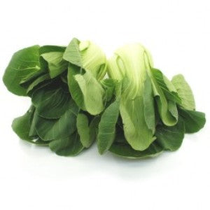 Bok Choy Shanghai Green (上海青白仔)