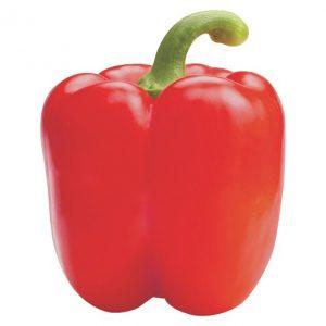 Capsicum Pepper Bell Red (灯笼椒红)