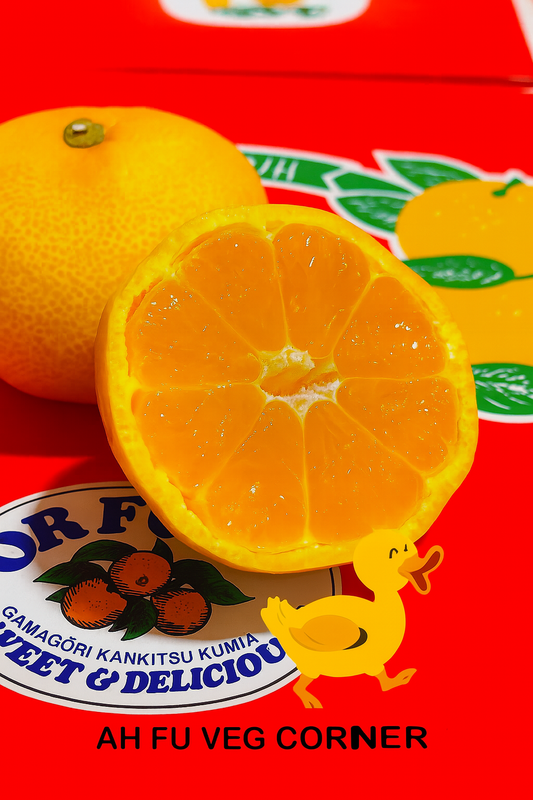 Premium Japanese Mikan Oranges  (甘くてジューシー！)