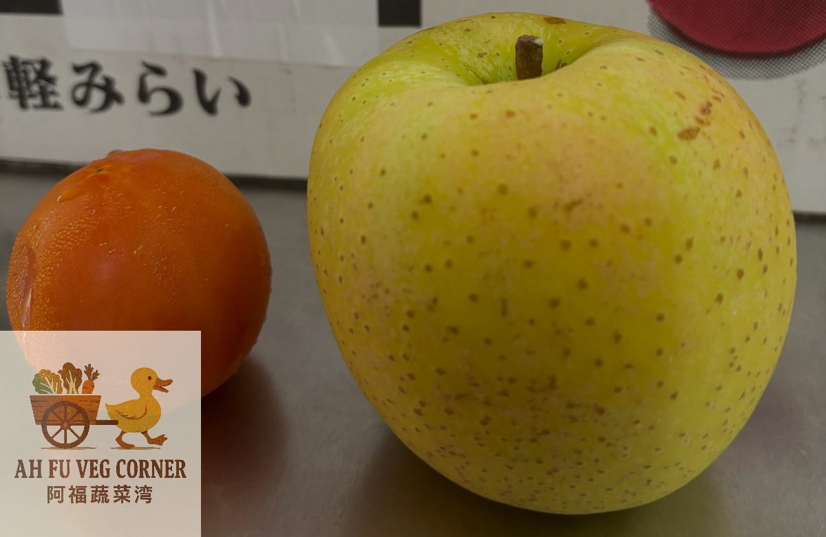 Orin (王林) Japanese Apples (Per Piece)
