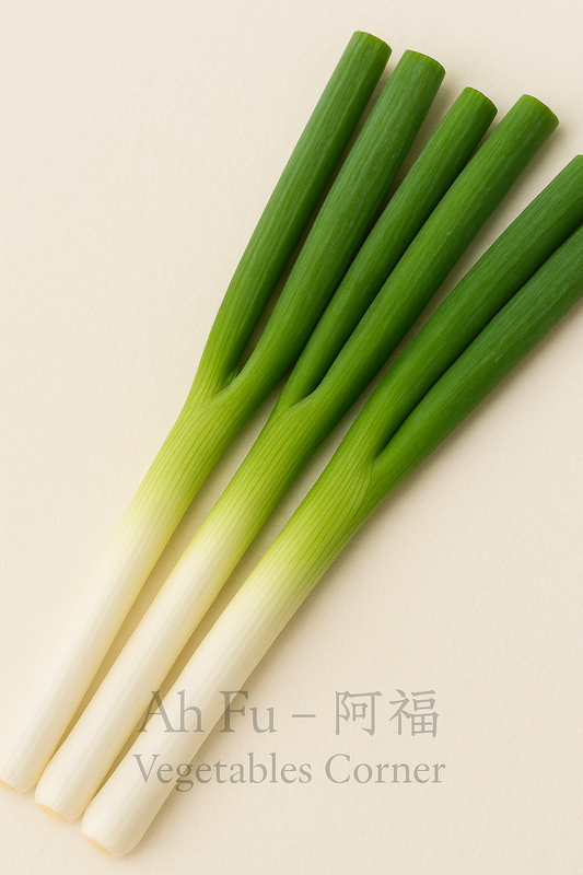 Japanese Naganegi (長ねぎ)