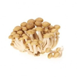 Brown Beech Mushroom (蟹味菇)
